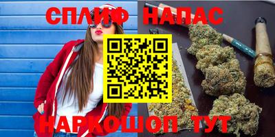 гидропоника Новокубанск