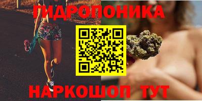 гидропоника Новокубанск