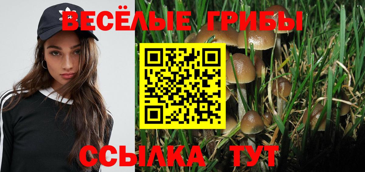 Псилоцибиновые грибы прущие грибы Усинск