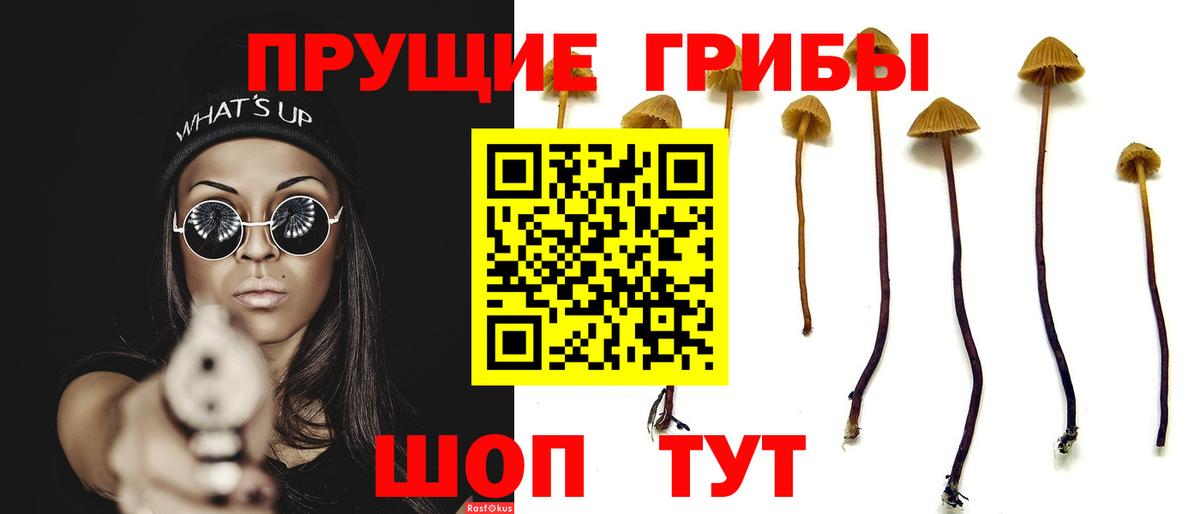Псилоцибиновые грибы GOLDEN TEACHER  Вход с VPN  Псилоцибиновые грибы мухоморы  где можно купить   Усинск 